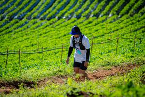 BIB: 
                            <button type="button" onclick="openModal(19161756)" class="btn btn-primary btn-sm float-right btn-popup" data-toggle="modal" data-target=".modal-high-quality">
                        <i class="fas fa-shopping-cart"></i> Add to Cart
                    </button>
                                            <button type="button" onclick="isThisMe(19161756, true)" class="btn btn-success btn-sm float-right btn-popup btn-isme hidden" data-toggle="tooltip" data-placement="bottom" title="นี่คือรูปของคุณใช่ไหม คลิกที่นี่เพื่อเอาเข้าอัลบั้ม">
                        <i class="fas fa-plus"></i> Add to album
                    </button>
                    <button type="button" onclick="isThisMe(19161756, false)" class="btn btn-warning btn-sm float-right btn-popup btn-isnotme hidden">
                        <i class="fas fa-ban"></i> Remove from album
                    </button>